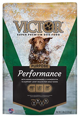 VICTOR Dog Food - Performance