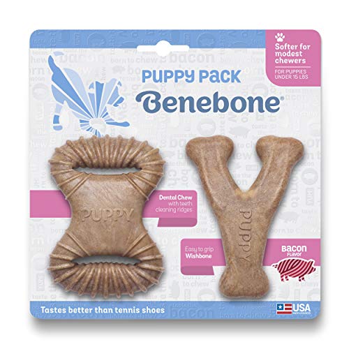 Benebone Puppy Chew Toy - Puppy 2 Pack Bacon Dental Chew & Wishbone