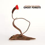 Meg Baird & Mary Lattimore Ghost Forests (green Vinyl) W Download Card 