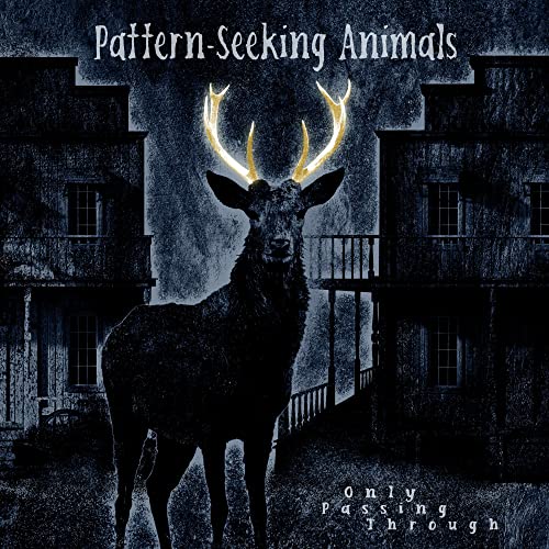 Pattern-Seeking Animals/Only Passing Through@2LP + CD