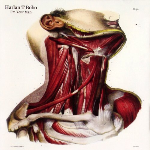 Harlan T. Bobo/I'M Your Man