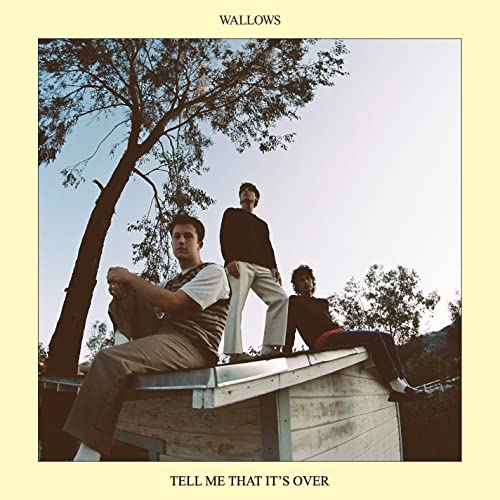 Wallows Tell Me That It’s Over (yellow Vinyl) 