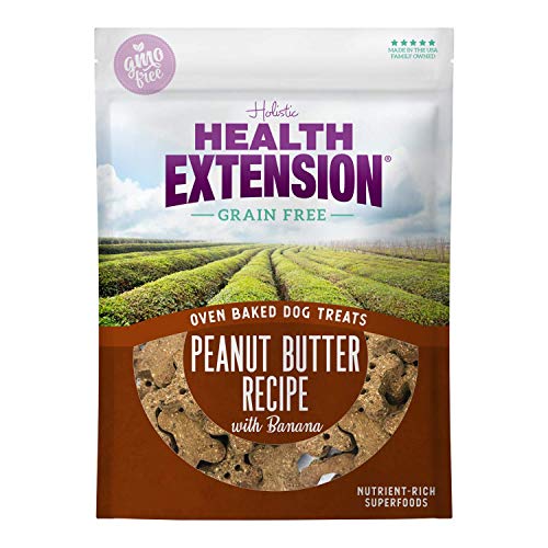 Health Extension Oven Baked Grain Free Treats Peanut Butter Recipe with Bananas