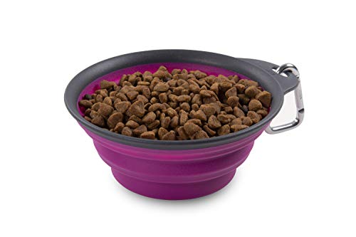 Dexas Popware Collapsible Non-Skid Silicone Pet Travel Bowl with Carabiner-Fuchsia