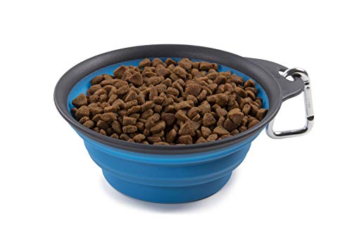 Dexas Popware Collapsible Non-Skid Silicone Pet Travel Bowl with Carabiner-Blue