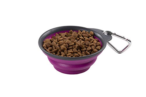 Dexas Popware Collapsible Non-Skid Silicone Pet Travel Bowl with Carabiner-Fuchsia