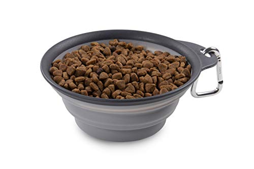 Dexas Popware Collapsible Non-Skid Silicone Pet Travel Bowl with Carabiner-Gray