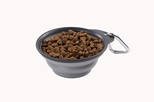 Dexas Popware Collapsible Non-Skid Silicone Pet Travel Bowl with Carabiner-Gray