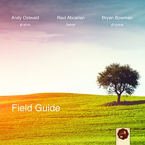 Andy Trio Ostwald/Field Guide@Amped Non Exclusive