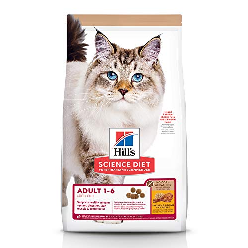 Hill's Science Diet Adult No Corn, Wheat, Soy Cat Food
