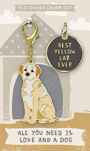 Primitives by Kathy Pet & Owner Charm Set-Best Yellow Lab Ever