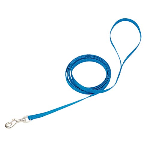 Coastal Single-Ply Dog Leash 3/8"-Blue Lagoon