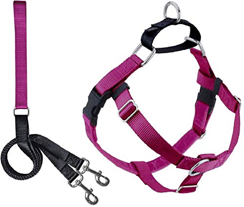 2 Hounds Design Dog Harness & Leash - Freedom No Pull , Raspberry-1-in, 28" - 32"