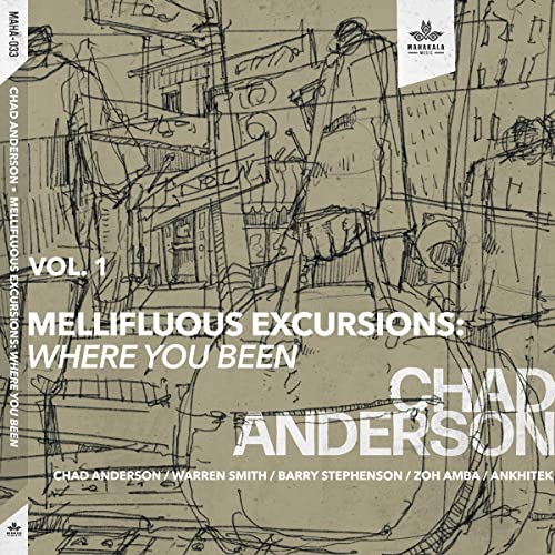 Chad Anderson/Mellifluous Excursions Vol. 1 - Where You Been