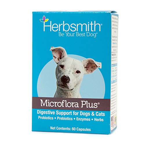 Herbsmith Pet Digestive Supplement - Microflora Plus