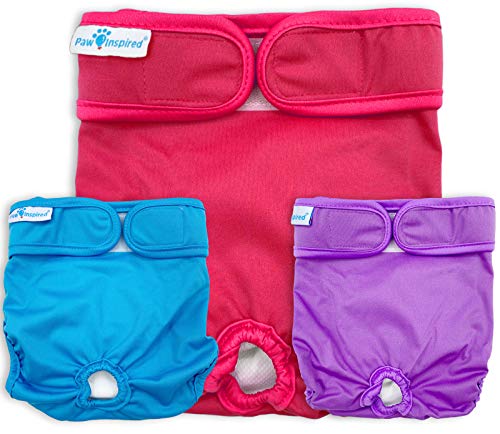 Paw Inspired Washable Dog Diapers-3 Count