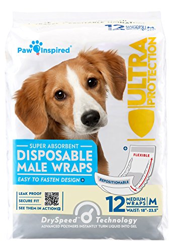Paw Inspired Disposable Male Dog Wraps-12 Count