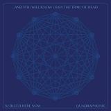 ...And You Will Know Us By The Trail Of Dead Xi Bleed Here Now (indie Retail Exclusive) 2lp 