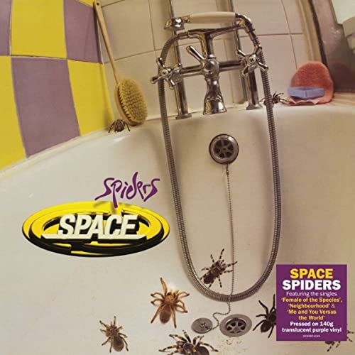 Space/Spiders