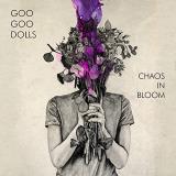 Goo Goo Dolls Chaos In Bloom 