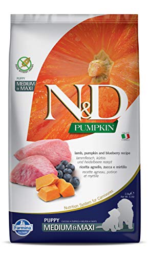 Farmina N&D Pumpkin Dry Puppy Food - Lamb & Blueberry Med/Maxi Puppy