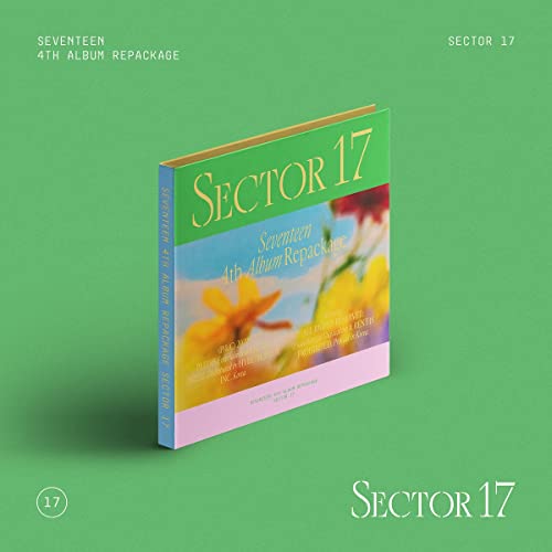 Seventeen/Sector 17