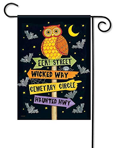 Carson Eek Street Owl Glitter Halloween Garden Flag