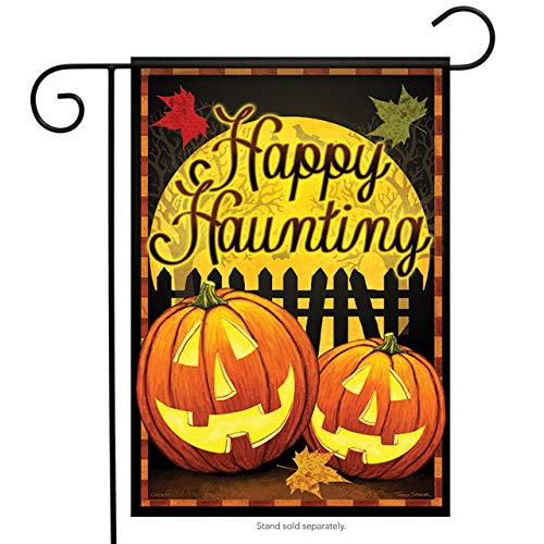 Carson Happy Haunting Witching Hour Halloween Garden Flag
