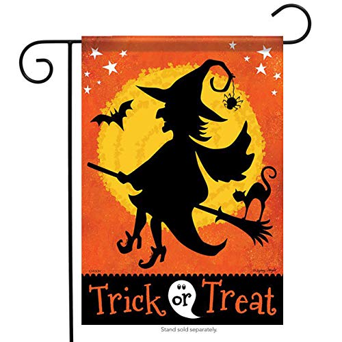 Carson Trick or Treat Witchy Night Halloween Garden Flag