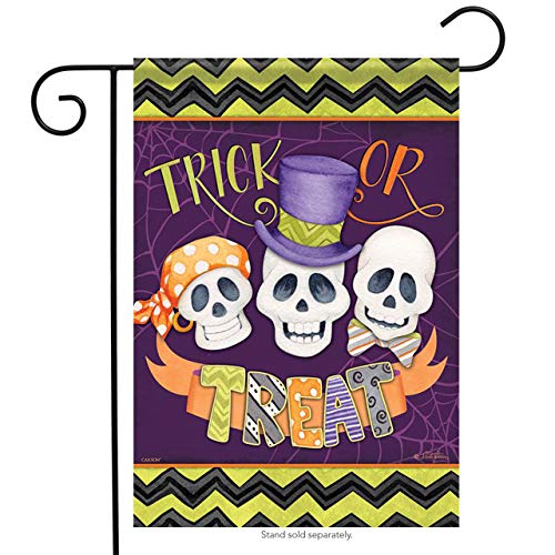 Carson Trick or Treat Skeleton Friends Halloween Garden Flag