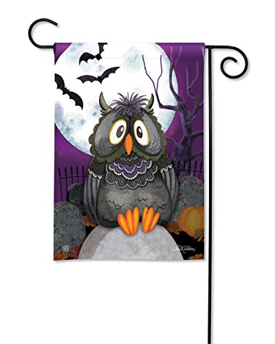 Magnet Works Moonlight Owl Halloween Garden Flag