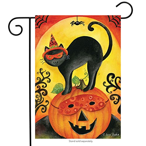 Briarwood Lane Black Cat Jack o' Lantern Halloween Garden Flag