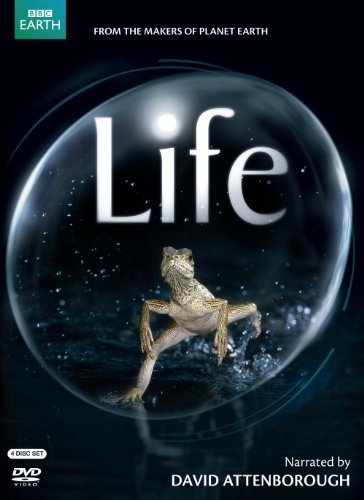 Life (uk Version) Life (uk Version) Ws Nr 4 DVD 