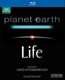 Life Planet Earth Life Planet Earth Blu Ray Ws Special Ed. Nr 10 Br Narrated David Atten 