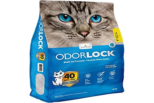 OdorLock Premium Clumping Litter - Unscented