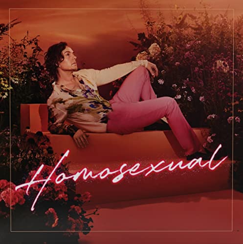 Darren Hayes/Homosexual