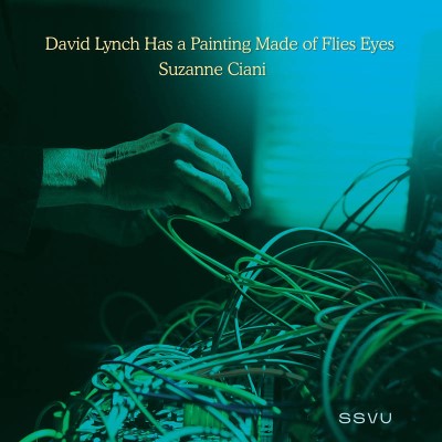 SSVU (Silversun Pickups)/David Lynch Has a Painting Made of Flies Eyes / Suzanne Ciani@RSD Black Friday Exclusive