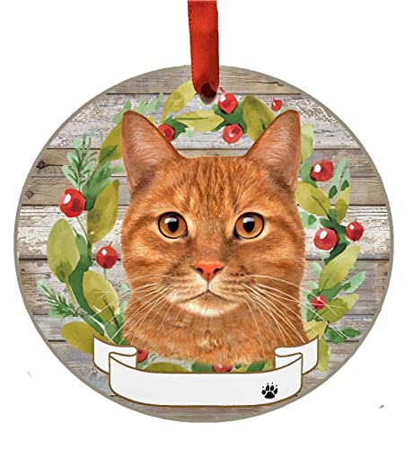 E&S Imports Personalizable Christmas Wreath Ornament-Tabby Cat Orange