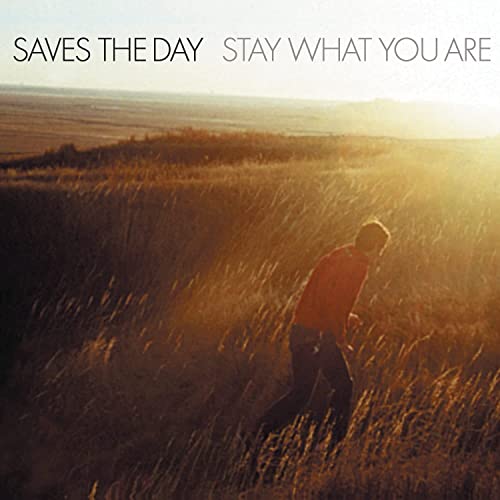 Saves the Day/Stay What You Are (Brown Vinyl) [Limited Edition]@Translucent Brown@2 x 10"