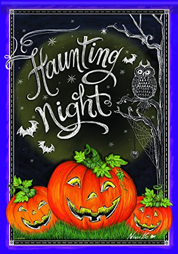 Carson Home Haunting Night Halloween Stand Flag