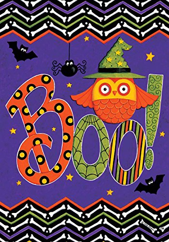 Custom Decor Owl Boo Halloween House Flag