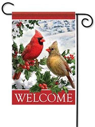 Carson Cardinals & Holly Winter Garden Flag