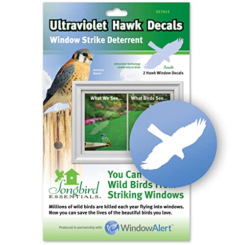 Window Alert Hawk Decal Envelope-2 Decals