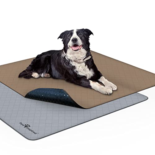 Paw Inspired Washable Dog Pads-2 Count