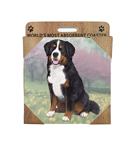 E&S Stone Coaster-Bernese Mountain Dog