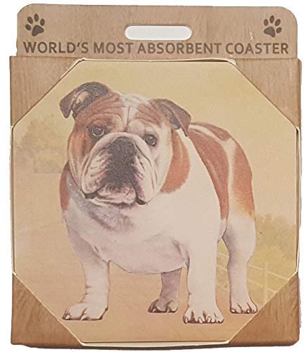 E&S Stone Coaster-Bulldog