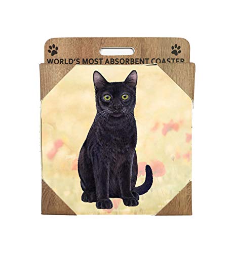 E&S Stone Coaster-Black Cat
