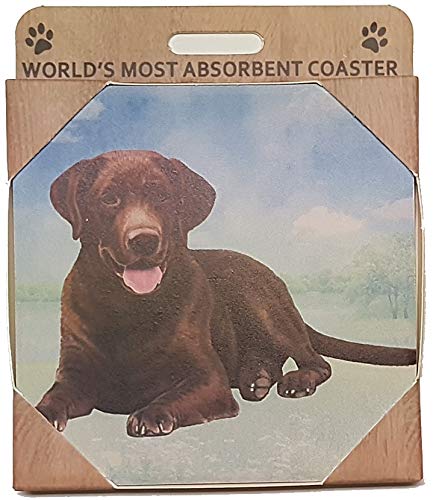 E&S Stone Coaster-Labrador Chocolate