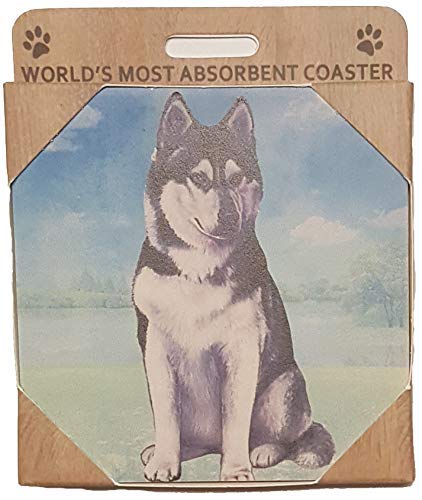 E&S Stone Coaster-Siberian Husky