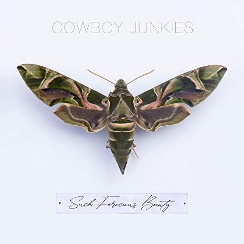 Cowboy Junkies/Such Ferocious Beauty